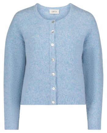 Strick-Cardigan, Cartoon