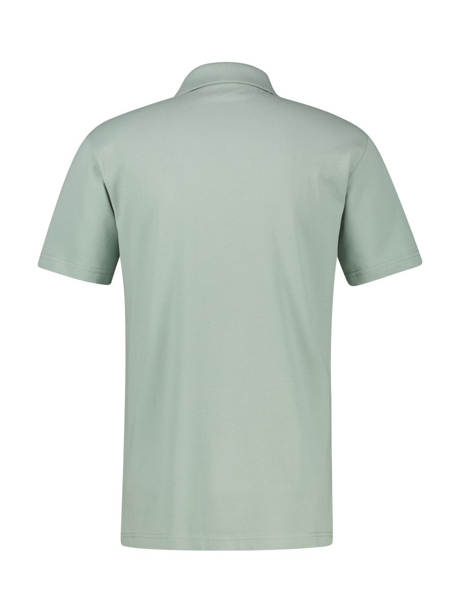 Poloshirt, Lerros