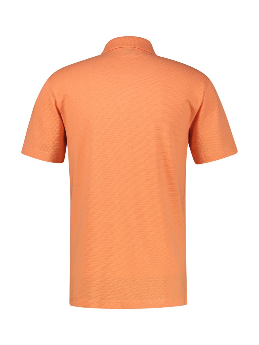 Poloshirt, Lerros