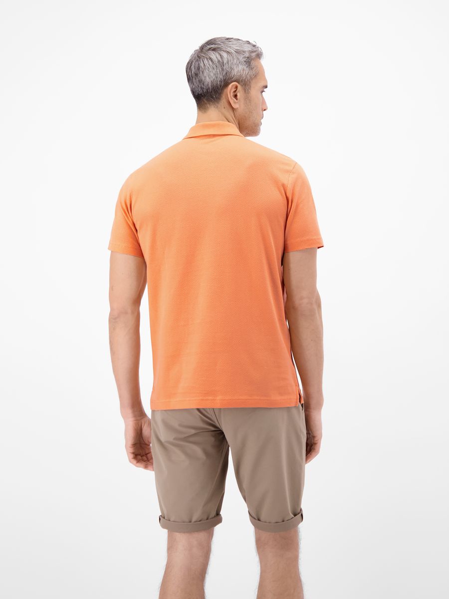 Poloshirt, Lerros