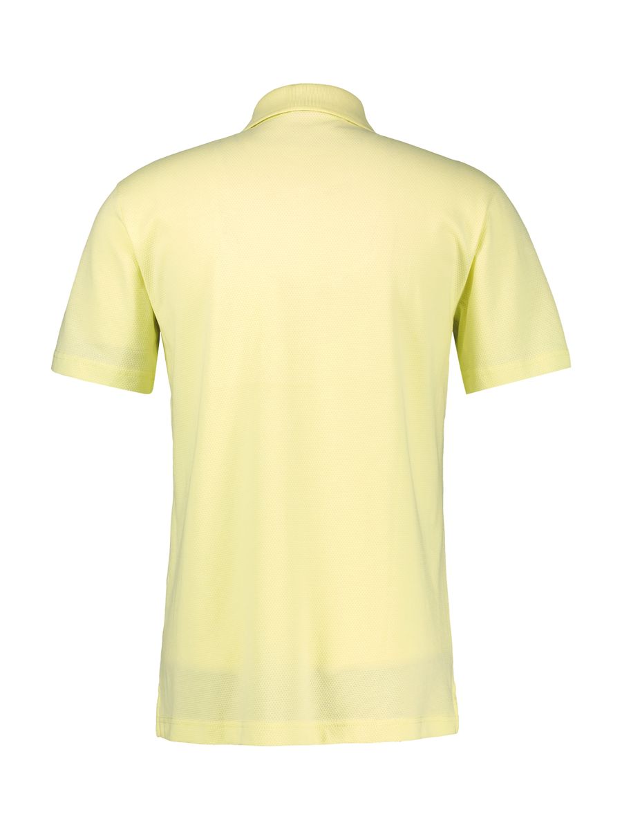 Poloshirt, Lerros