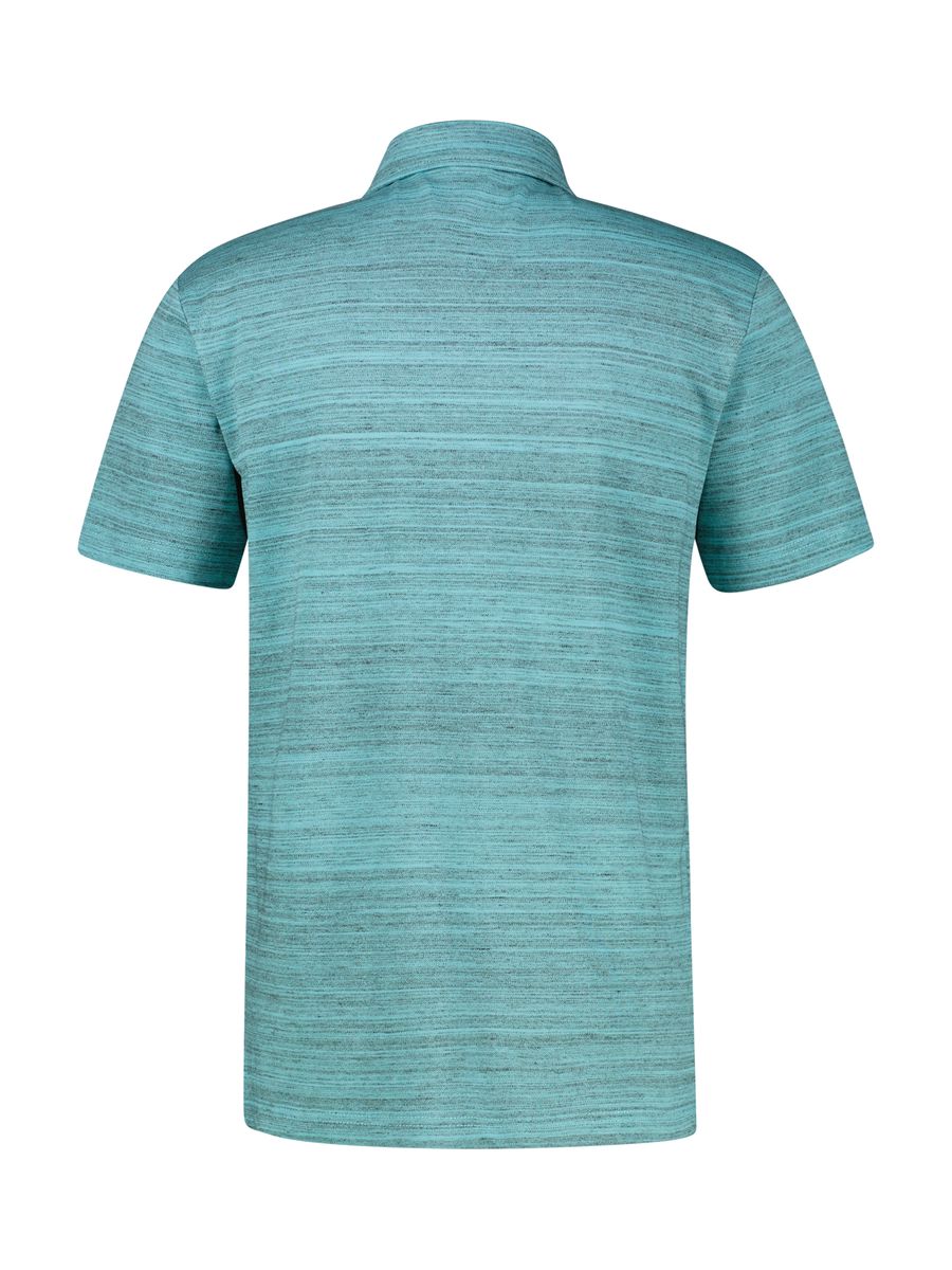 Poloshirt, Lerros